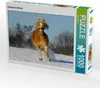 CALVENDO Puzzle Haflinger im Schnee | 1000 Teile Lege-Größe Produktbild-Vorschau 1