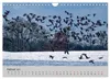 Biosphärenreservat Schaalsee (Wandkalender 2027 DIN A4 Produktbild-Vorschau 5