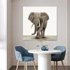 MuchoWow® Poster Elefant - Kinder - Tiere - Mädchen 100x100 Produktbild-Vorschau 5