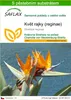 SAFLAX - květ rajky (reginae) - Strelitzia reginae - 5 Náhled obrázku produktu 1