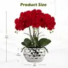 Umělá orchidej Phalaenopsis, výška 44 cm, červená, v Náhled obrázku produktu 2