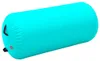 vidaXL Aufblasbare Gymnastik-Rolle mit Pumpe 120x90 cm PVC Produktbild-Vorschau 1
