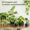 Bamworld 6er-Set Zimmerpflanzen-Topfregal mit Bewässerung, Produktbild-Vorschau 6