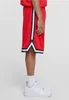 Urban Classics TB243 | Stripes Mesh Shorts S bis 3XL - Produktbild-Vorschau 4