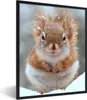 MuchoWow® MuchoWow® Gerahmtes Poster Eichhörnchen - Produktbild-Vorschau 1