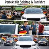 1 Paar Auto-Seitenspiegelabdeckungen für Deutschland, Produktbild-Vorschau 6