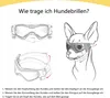 Hundebrille für kleine Hunde UV-Schutz Hundesonnenbrille Produktbild-Vorschau 4