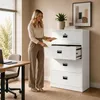 Armoire de classement suspendue, armoire métallique, Voir les images du produit 8