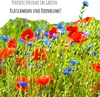 Kornblumen Samen (Centaurea cyanus) - Wunderschön Produktbild-Vorschau 4