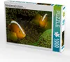 CALVENDO Puzzle Nemos in ihrem grünen Zuhause 1000 Teile Produktbild-Vorschau 1