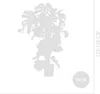 Bloomique - Monstera Deliciosa - z tyczką mchu - roślina Podgląd zdjęcia produktu 6