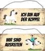 Weißes Pferd ist ausreiten oder auf der Koppel Wendeschild Produktbild-Vorschau 1
