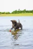 Beeztees Hundespielzeug Splashball blau/rot Produktbild-Vorschau 9