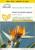 SAFLAX Ensemble de culture - Oiseau de paradis (reginae) - Voir les images du produit 1