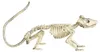Skelett Ratte als Halloween Dekoration 20cm Produktbild-Vorschau 3