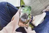 MuchoWow® Handyhülle Schutzhülle Hülle für iPhone SE 2022 Produktbild-Vorschau 3