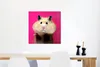 MuchoWow® Poster Hamster mit rosa Hintergrund 50x50 cm - Produktbild-Vorschau 5
