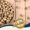 1 kg de cubes d'artémias lyophilisés Lyra Pet® Voir les images du produit 4
