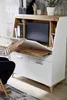 Sekretär Bürotisch Schreibtisch "Secret I" weiß matt / Produktbild-Vorschau 10