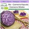 SAFLAX - Bio - Czerwona Kapusta - 250 Nasiona - Brassica Podgląd zdjęcia produktu 10