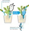 Scheurich Bördy, Dekorativ, Wassertank, Transparent Produktbild-Vorschau 4