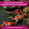 Teichpoint Fadenalgenvernichter Forte 10 kg Produktbild-Vorschau 5