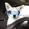 mall Hundebrille, UV-Schutz, verstellbar, transparent, für Produktbild-Vorschau 2