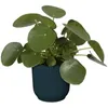 Pot Elho Vibes Fold Bleu D.22cm Design Plissé, Durable - Voir les images du produit 13