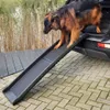ProPlus Haustier-Rampe Schwarz 155 cm 90 kg Kunststoff Produktbild-Vorschau 7