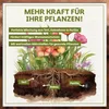 Green Home Blumenerde 72L - Pflanzerde für Zimmerpflanzen, Produktbild-Vorschau 3