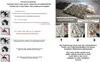 40 Stück / Deckenpaneele Wandpaneele Wanddeko Produktbild-Vorschau 4