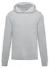 SG Originals - Kapuzenpullover für Herren FK2745 (L) (Helle Produktbild-Vorschau 1