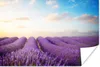 MuchoWow® Poster Lavendel - Himmel - Wolken - Blumen 60x40 Produktbild-Vorschau 1