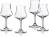 MAISON FORINE Set di bicchieri da rum SOMMELIER CHEST 170 Anteprima dell’immagine prodotto 1