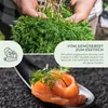 Dill Samen - Küchenkräuter Saatgut aus biologischem Anbau Produktbild-Vorschau 3
