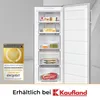 Exquisit Gefrierschrank GS231-NF-H-040C inoxlook | No Frost Produktbild-Vorschau 7