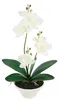 Orchidée artificielle blanche en pot, 30 cm – Orchidée Voir les images du produit 1