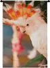 MuchoWow® Wandteppich Wandbehang Ein weißer Kakadu mit Produktbild-Vorschau 1