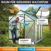 BRAST Gewächshaus Aluminium mit Fundament | 190x190x195cm | Produktbild-Vorschau 6