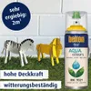 belton free Lackspray AQUAcolours 400 ml rapsgelb hochglanz Produktbild-Vorschau 3