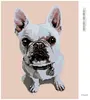 Diamondi - Diamond painting - WEIßE BULLDOGGE MIT BLAUEM Produktbild-Vorschau 3