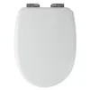 A top-down view of a closed white toilet seat with metal hinges. Produktbild-Vorschau