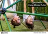 Cupola di arrampicata per bambini HyperMotion XL, geodome, Anteprima dell’immagine prodotto 11
