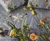 Essenza Bettwäsche-Garnitur Satin Ficaria Farbe Grey Größe Produktbild-Vorschau 3