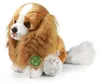 Plyšový španiel King Charles 28 cm Ekologický Náhľad obrázku produktu 1