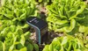 GARDENA smart Sensor 19040-20 Produktbild-Vorschau 18