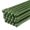 Sekey 20 x metalowe patyczki do roślin z plastikową Podgląd zdjęcia produktu 2