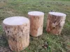 Holzstamm Sitzhocker gehobelt Höhe ca 40-42cm Durchmesser Produktbild-Vorschau 4