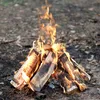 A campfire burning in a forest setting. Produktbild-Vorschau