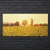 Coloray Bild aus Glas 140x70 glasblock mit bild gehärtetes Produktbild-Vorschau 2
